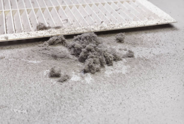 Best Commercial Air Duct Cleaning  in Littlefield, TX