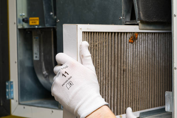 Best Air Quality Test  in Littlefield, TX