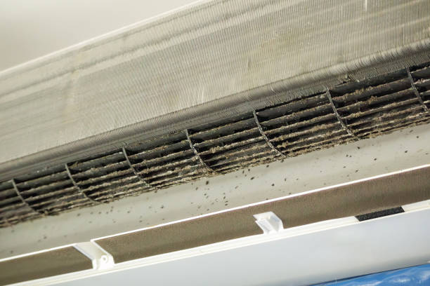 Best Affordable HVAC Duct Cleaning  in Littlefield, TX
